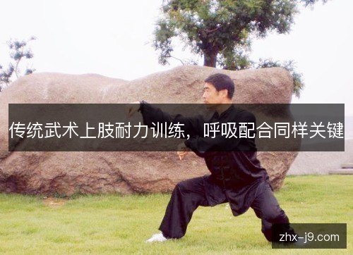 传统武术上肢耐力训练,呼吸配合同样关键 传统武术上肢耐力训练,呼吸配合同样关键